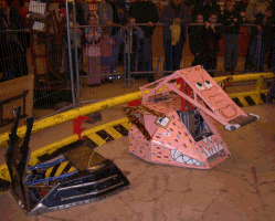 The Hog at the start of the days battling