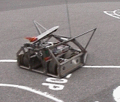 The Hog in the local village Infants' school playground